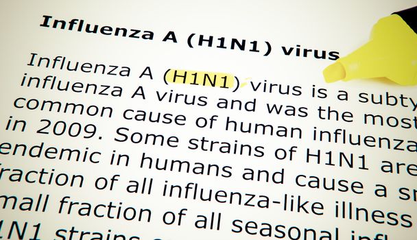 Images of the H1N1 Influenza Virus