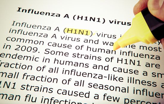 Images of the H1N1 Influenza Virus