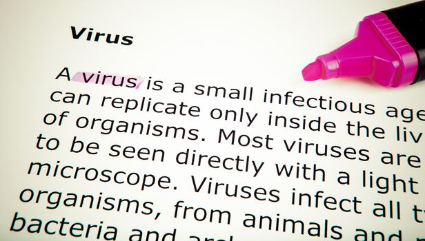 Virus