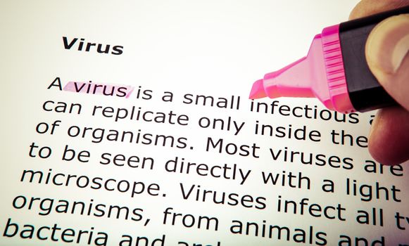 Virus