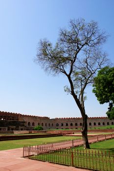 Outside Architecture of the Red Fort and garden in Agra, India
