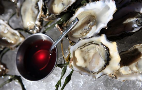 Opened oysters on ice with red souse