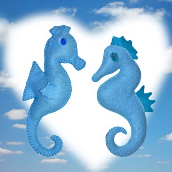 Seahorses - kids toys