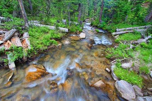 Big Tepee Creek flows through the Bighorn National Forest in Wyoming.