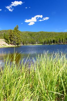 Summer day at Sibley Lake in the Bighorn National Forest of Wyoming.