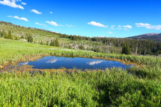 Pond in the high altitudes of the Bighorn Mountains National Forest of Wyoming.