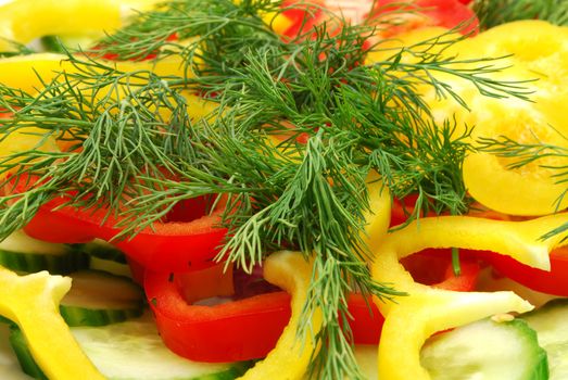 Salad of Cutter Red and Yellow Pepper, Cucumber and Dill Closeup