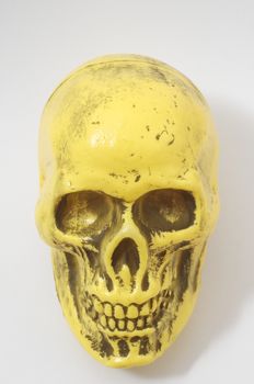 An Ancient Yellow Skull  on a White Background