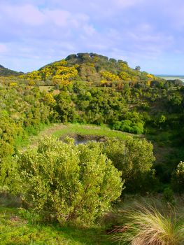 Vegetation adorns the hillsides of a small crater at Tower Hill State Game Reserve in Victoria, Australia.