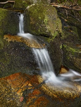 Stream in the forest of mountain Karazica, Macedonia