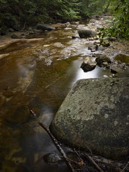 Stream in the forest of mountain Karazica, Macedonia