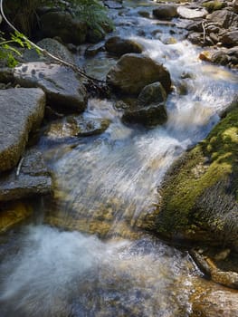 Stream in the forest of mountain Karazica, Macedonia