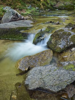 Stream in the forest