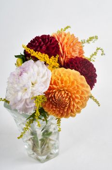 Bouquet of dahlias in vase on the light background