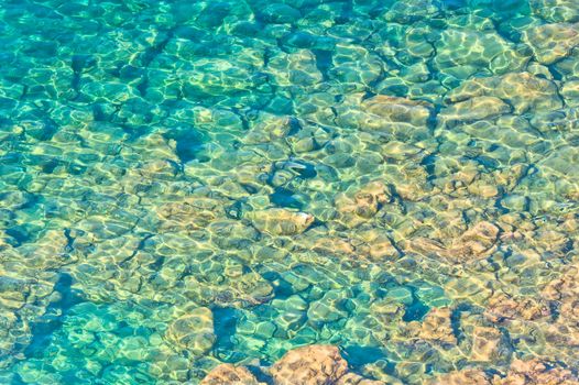 crystal clear waters and rocky bottom