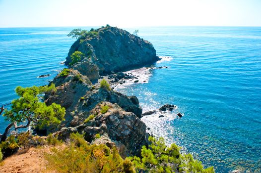 mountain range, covered with pine trees stretching to the sea