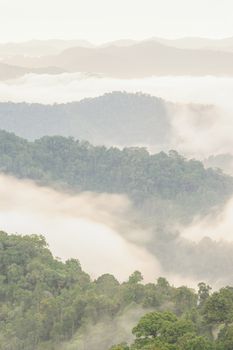 Beautiful tropical mountain mist in rain forest Thailand.