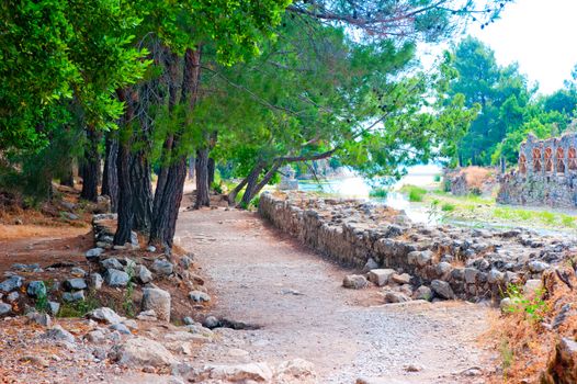 guided trail in Ancient Olympos, Turkey