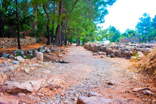 The ruins of ancient Olympos, Turkey