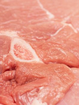 Closeup view of unprepared cutted meat
