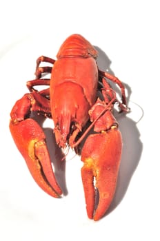 Crawfish cooked 