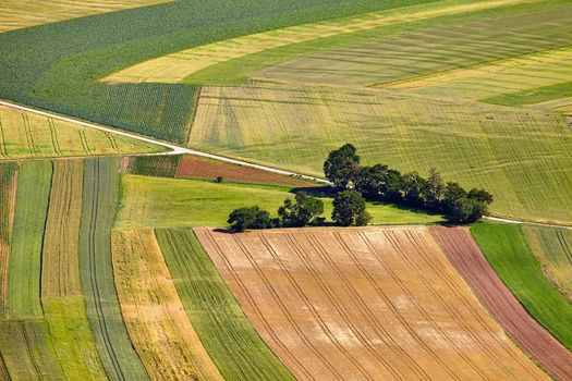 Aerial view of agricultural fields