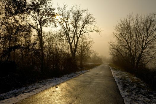 Long road through the winter countryside