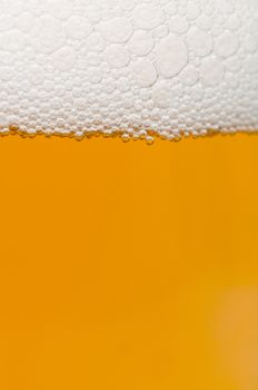 Beer - Closeup of Glass of Beer with Foam - Shallow Depth of Field