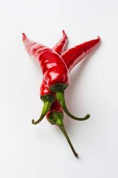 Red chili peppers on a white background