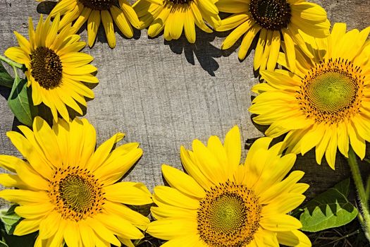 Frame of sunflowers on the old board