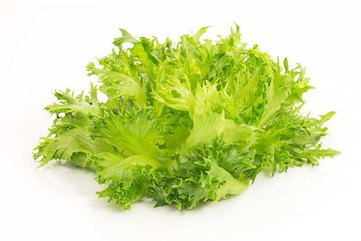 fresh green salad lettuce lolla bionde