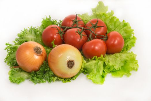 Fresh green salad lettuce, onion and tomatoes