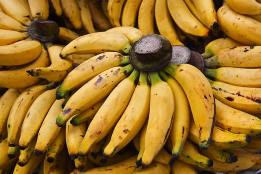 Yellow Dainty Banana bunch in fruit market
