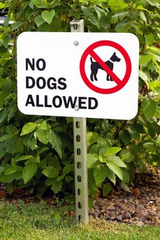 Sign prohibiting dogs on the grass is posted on a metal pole with a graphic and notice of "No Dogs Allowed."