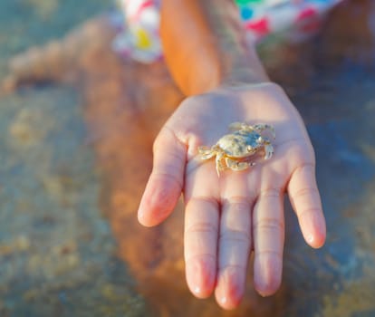 Adorable happy girl holding crab on the beach on spring day. Focus on the crab.