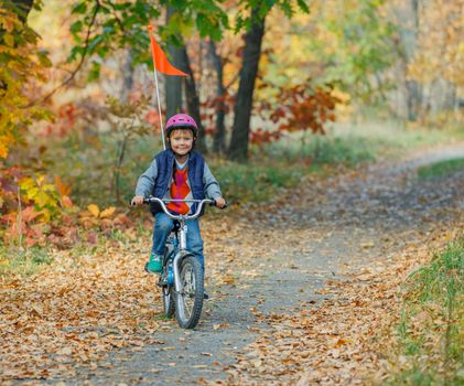 Cute little boy on bicycle in the autumn park.