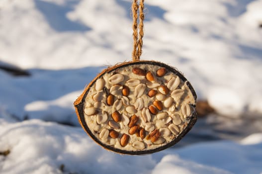 Feeding the birds in winter with a half coconut filled with fat and peanuts