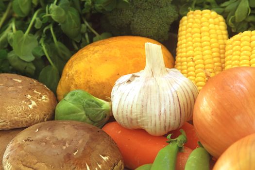 Garden Fresh Foods and Vegetables Grown and Ripe
