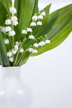 close up view of blooming Lily of the valley