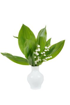 Blooming Lily of the valley isolated on white