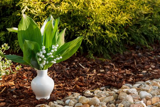 Blooming Lily of the valley in white vase in spring garden