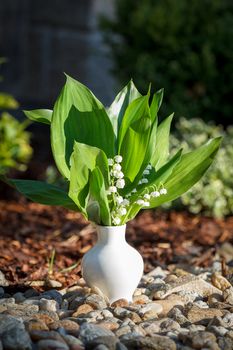 Blooming Lily of the valley in white vase in spring garden