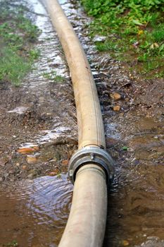 detail of a big damaged garden hose with the water gushing out