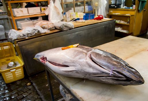 Big tuna on table for cutting