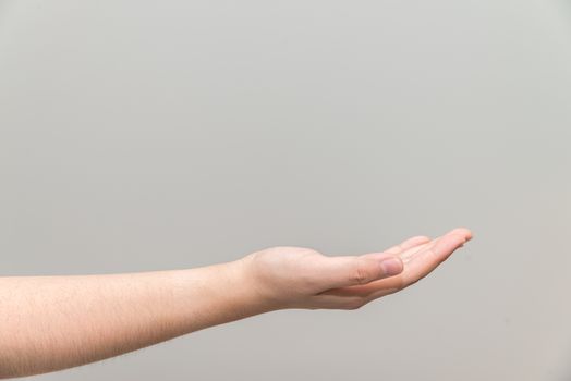 Human hand with open palm ready to recieve on light gray background