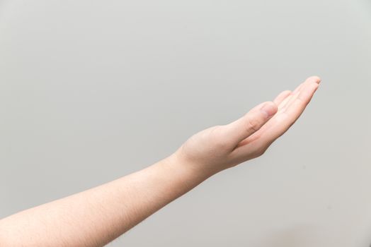 Human hand with open palm ready to recieve on light gray background