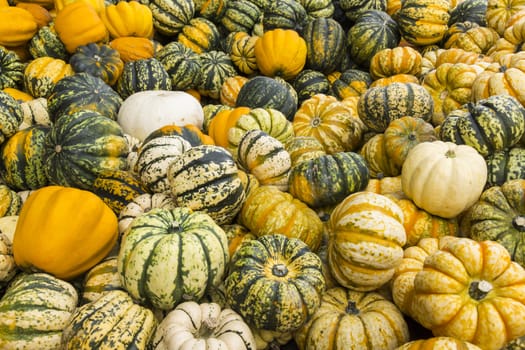 Yellow, green and white striped pumpkin stand
