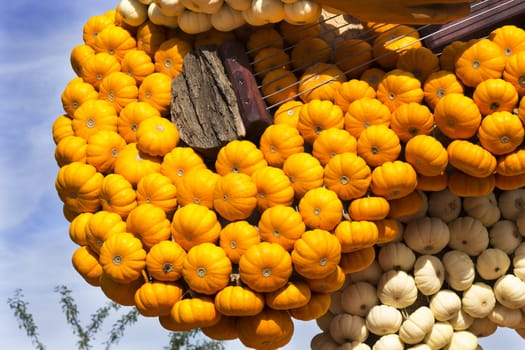 Guitar made of small orange and white pumpkins