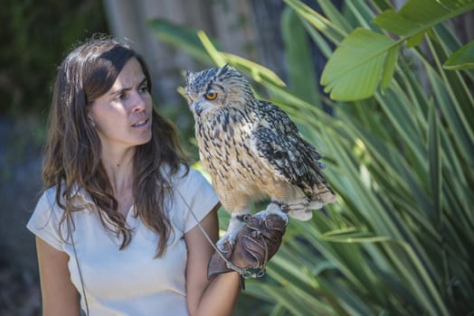 The picture is shot in Zoo Lagos, Portugal