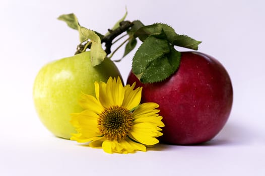 yellow flower, green and red apple